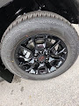 2025 Nissan Armada PRO-4X